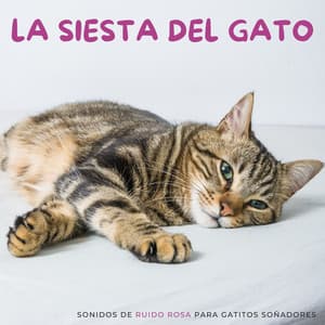La Siesta Del Gato: Sonidos De Ruido Rosa Para Gatitos Soñadores - Frecuencias
