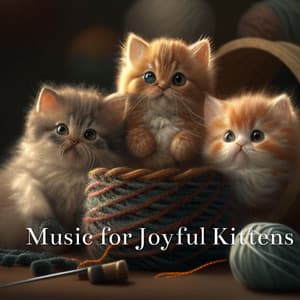 Music For Joyful Kittens - Cat & Calm