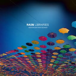 Rain Libraries - Meditation Rain Sounds