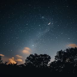 Sueño Lofi: Armonía Soñadora - Los fásers del sueño