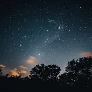 Sueño Lofi: Armonía Soñadora - Los fásers del sueño