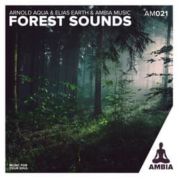 Forest Sounds - Elias Earth