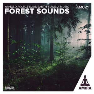 Forest Sounds - Elias Earth