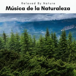 A Música de la Naturaleza - Naturaleza Sonidos