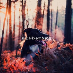 私とふわふわな友達 - Coffee Shop Piano Jazz Playlist