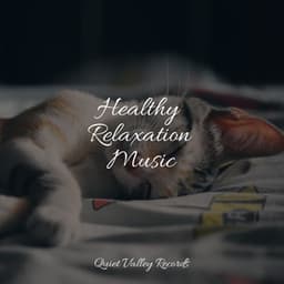 Healthy Relaxation Music - Nature and Rain