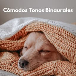 Cómodos Tonos Binaurales Para Calmar A Las Mascotas - Universo De Latidos Binaurales