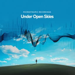 Under Open Skies - Microdynamic Recordings