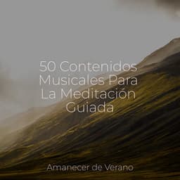 50 Contenidos Musicales Para La Meditación Guiada - Música Zen Relaxante
