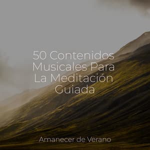 50 Contenidos Musicales Para La Meditación Guiada - Música Zen Relaxante