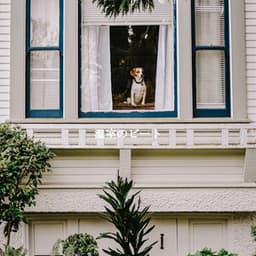 温室のビート - Restaurant Jazz Playlist