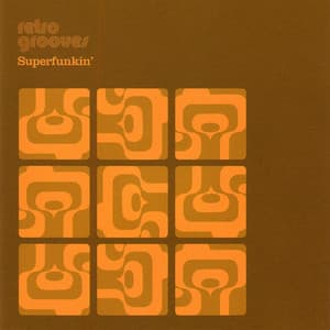 Retro Grooves - Terry Devine-King