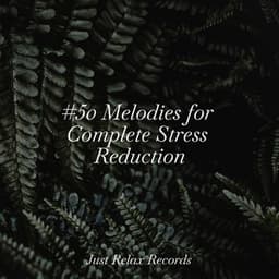#50 Melodies for Complete Stress Reduction - Musica para Meditar