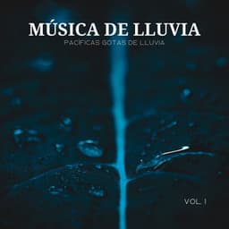 Música De Lluvia: Pacíficas Gotas De Lluvia Vol. 1 - Agua Del Mar