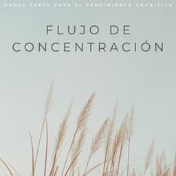 Flujo De Concentración: Ondas Theta Para El Rendimiento Cognitivo - Ondas Alfa Ondulantes