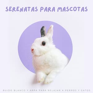 Serenatas Para Mascotas: Ruido Blanco Y Arpa Para Relajar A Perros Y Gatos - Sonido Blanco