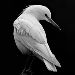 Sueños De Plumas En La Lluvia: Sueño De Naturaleza Binaural Con Aves - 80 88 Hz - Ambiente para Dormir