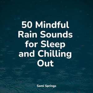 50 Mindful Rain Sounds for Sleep and Chilling Out - The Rain Library