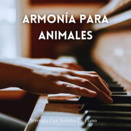 Armonía Para Animales: Serenata Con Sonidos De Piano - Piano Jazz Paris