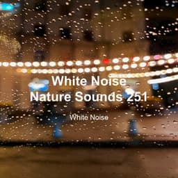 White Noise 251 - White Noise