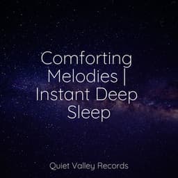 Comforting Melodies | Instant Deep Sleep - Baby Lullabies Music