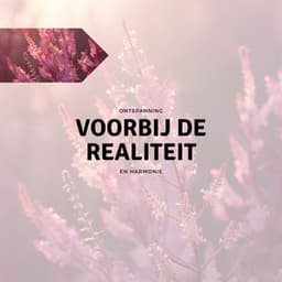 Voorbij de Realiteit - Ontspanning en Harmonie