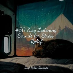 #50 Easy Listening Sounds for Stress Relief - Musica romantica instrumental