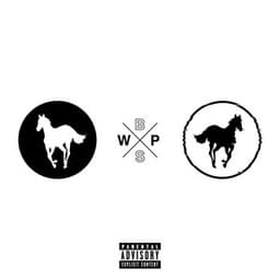 White Pony