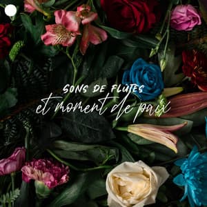 Sons de flûtes et moment de paix – Musique autochtone relaxante pour la méditation et la thérapie - Zen Matin Groupe