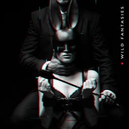 Wild Fantasies - Sensual Music Paradise