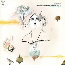 Piano Sonata No. 17 in D Major, Op. 53 - Franz Schubert