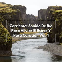 Corriente: Sonido De Río Para Aliviar El Estres Y Para Curación Vol. 1 - Etiqueta de la naturaleza