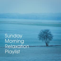Sunday Morning Relaxation Playlist - Piano Relaxation Music Masters