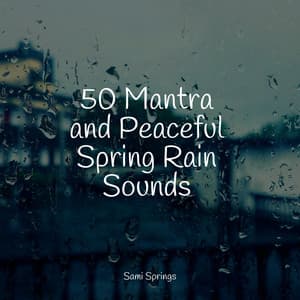 50 Mantra and Peaceful Spring Rain Sounds - The Rain Library