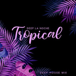 Deep La Noche: Tropical Deep House Mix, Summer Bounce in Paradise, Sexy Chillout Vibes - Siesta Electronic Chillout Collection