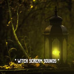 * Witch Scream Sounds * - The Haunted House of Horror Sound Effects