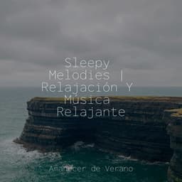 Sleepy Melodies | Relajación Y Música Relajante - Yoga