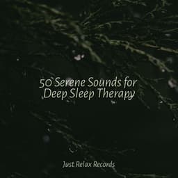 50 Serene Sounds for Deep Sleep Therapy - Kinderliederbande