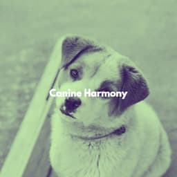Canine Harmony - Dog Separation Anxiety Music