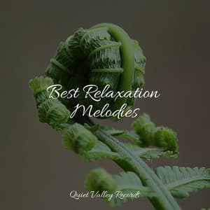 Best Relaxation Melodies - White Noise Sleep Sounds