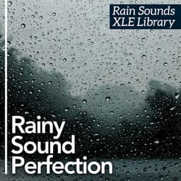Rainy Sound Perfection - Rain Sounds XLE Library