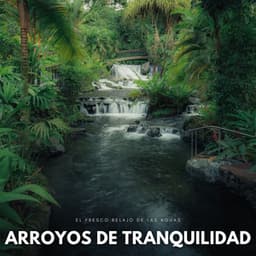 Arroyos De Tranquilidad: El Fresco Relajo De Las Aguas - Camino del agua