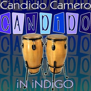 Candido In Indigo - Candido Camero