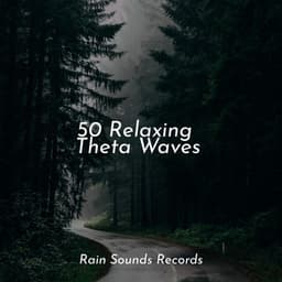 50 Relaxing Theta Waves - Rain Sounds & White Noise