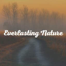 Everlasting Nature - Weather and Nature Recordings