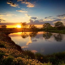 Paisajes Sonoros Lofi Para Una Relajación Pacífica - Muisca Relajante