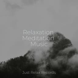 Relaxation Meditation Music - Lounge relax