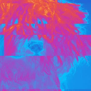 Quiet Trio Jazz - Background for Puppy Mornings - Dog Sleeping Soundtracks Deluxe