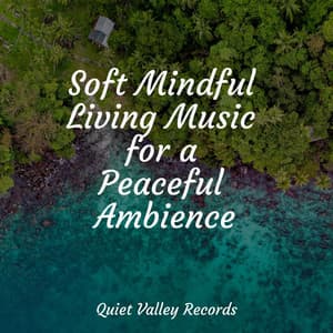 Soft Mindful Living Music for a Peaceful Ambience - Meditação Maestro