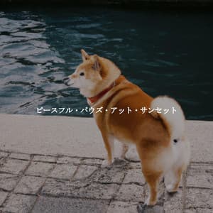 ピースフル・パウズ・アット・サンセット - Restaurant Jazz Music Universe